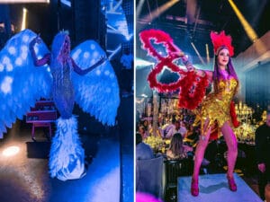 מייצגים לאירועים - מבחר מייצגים לחתונות - רקדניות לאירועי חברה